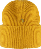 1960 Logo Hat
