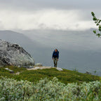 Abisko Hybrid Trail Trs M